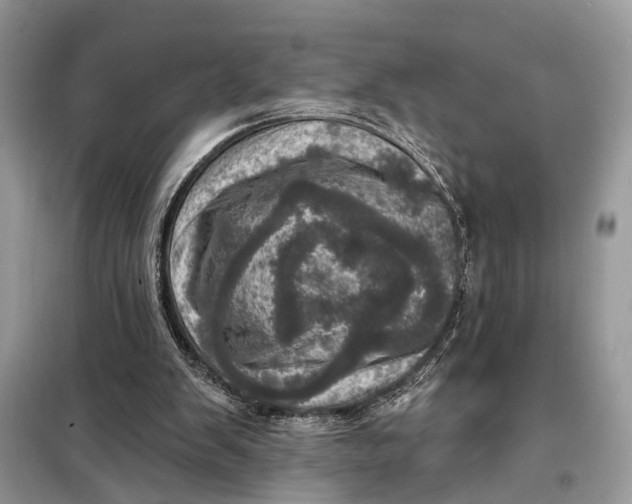 X0000098200103200805081120