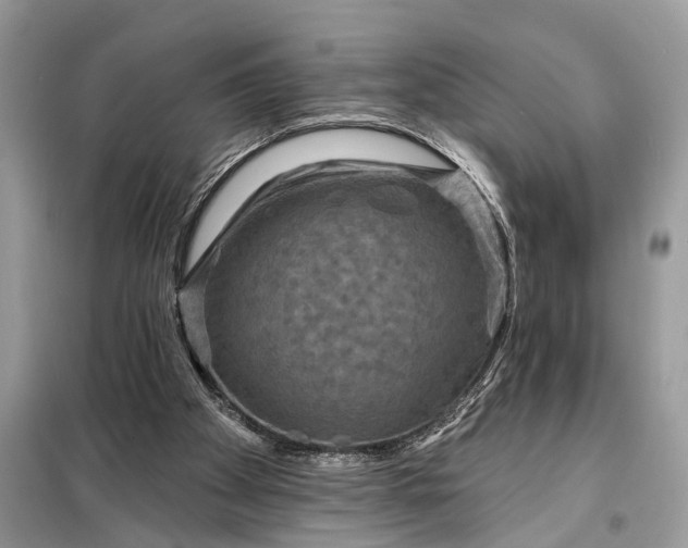 X0000098200105200805081120