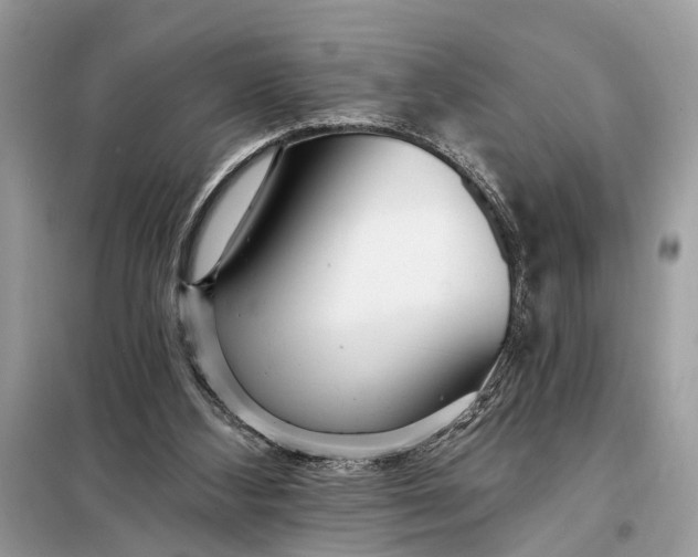X0000098200108200805081120