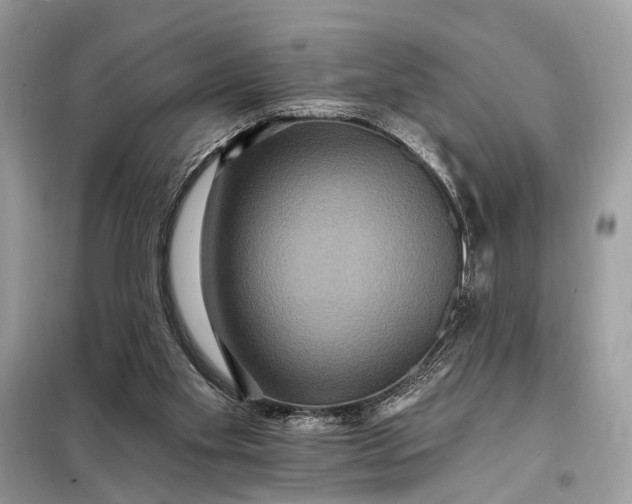 X0000098200109200805081120