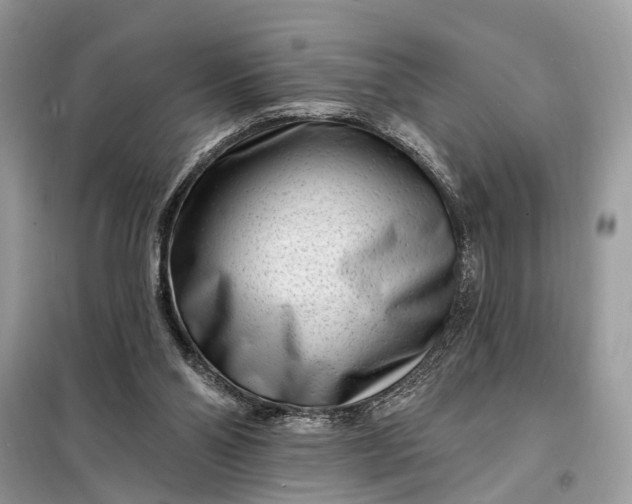 X0000098200110200805081120