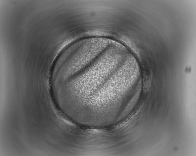 X0000098200111200805081120