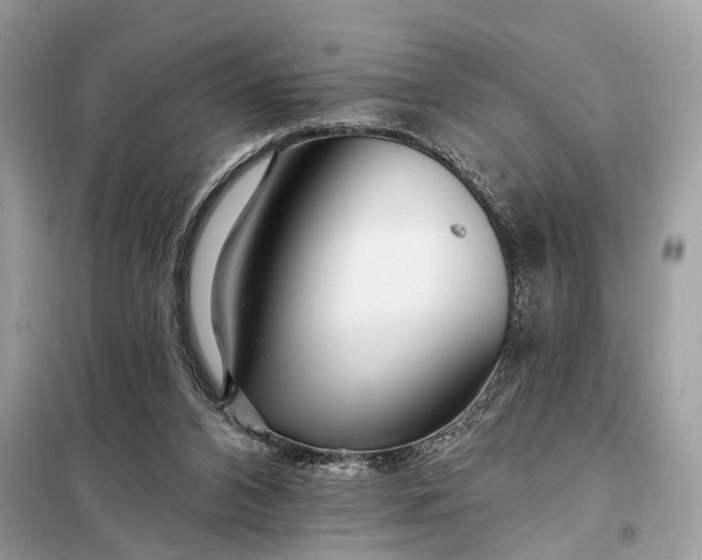 X0000098200112200805081120