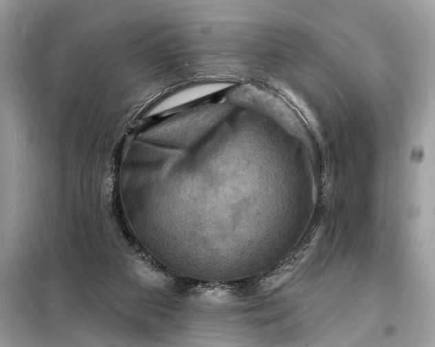 X0000098200113200805081120