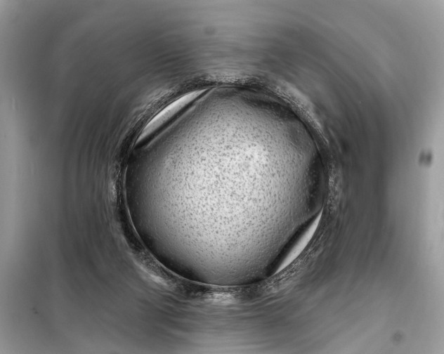X0000098200114200805081120