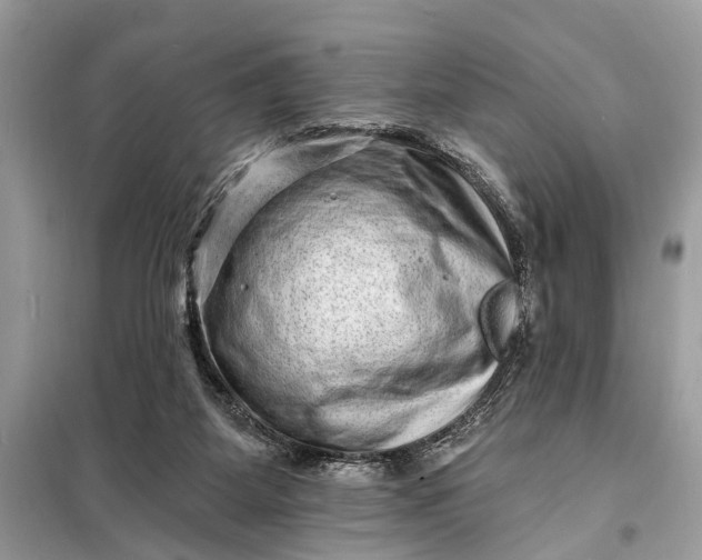 X0000098200115200805081120