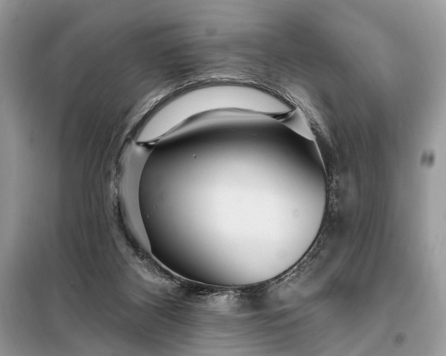 X0000098200116200805081120