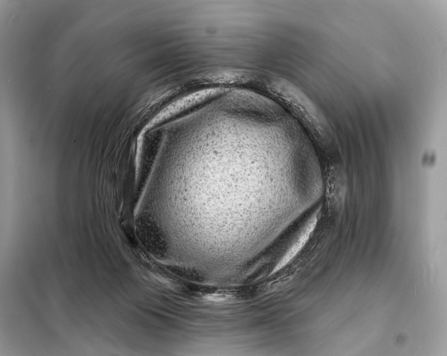 X0000098200119200805081120