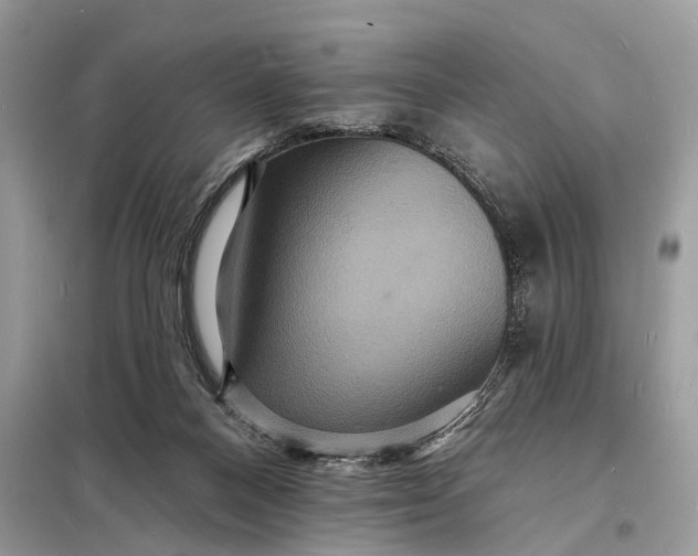 X0000098200120200805081120