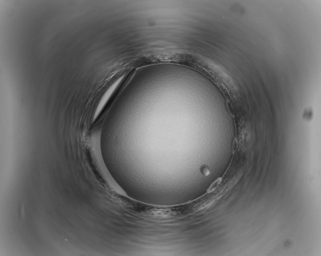 X0000098200121200805081120