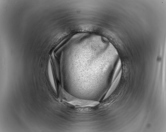 X0000098200123200805081120