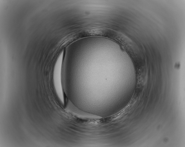 X0000098200124200805081120