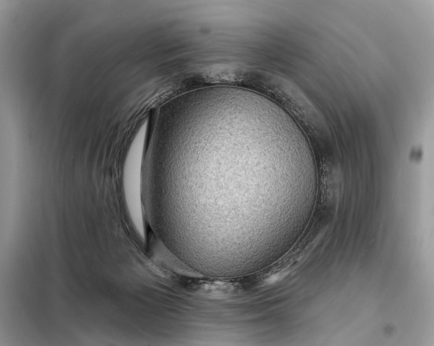 X0000098200125200805081120