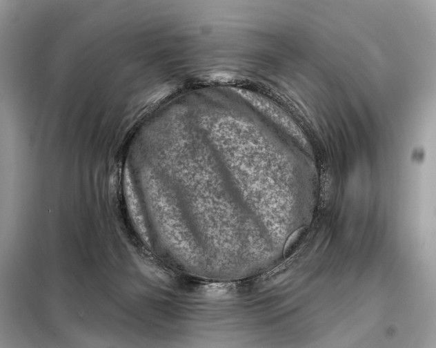 X0000098200126200805081120