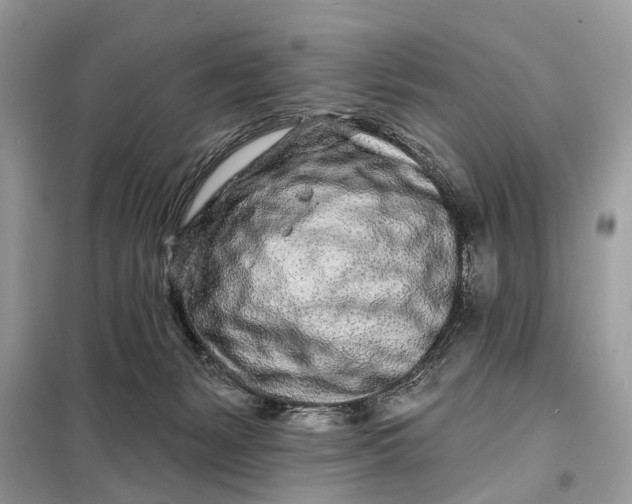 X0000098200127200805081120