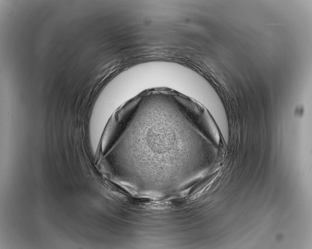 X0000098200128200805081120