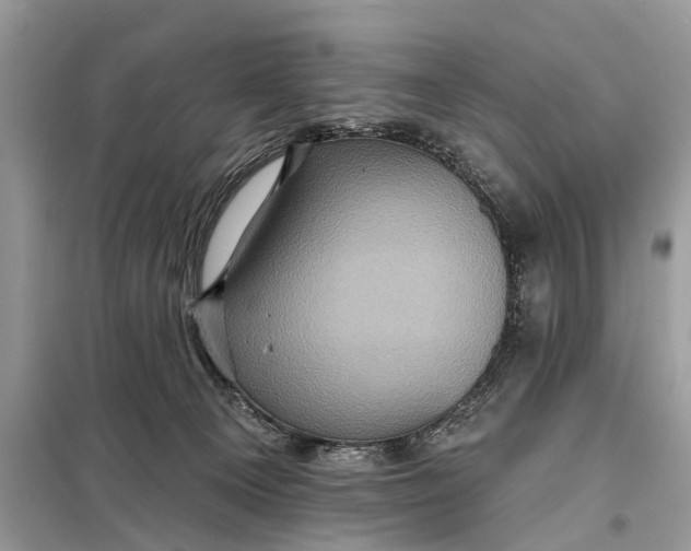 X0000098200129200805081120