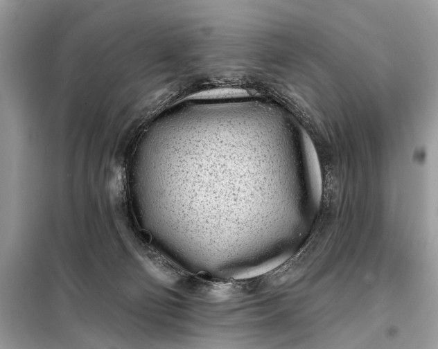 X0000098200130200805081120