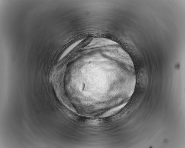 X0000098200131200805081120