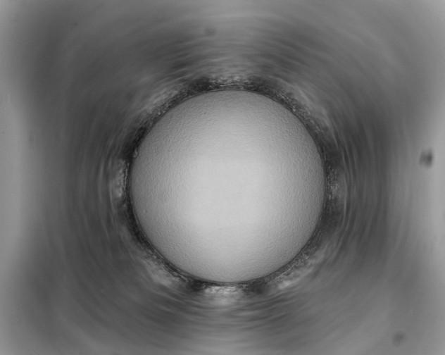 X0000098200133200805081120