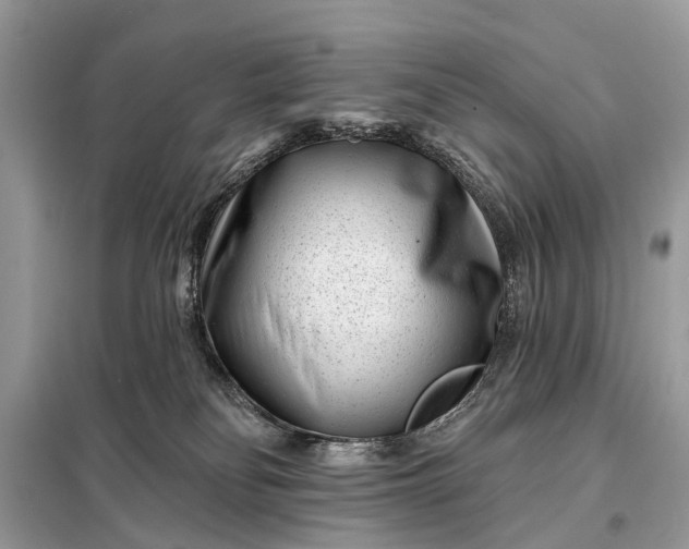 X0000098200134200805081120