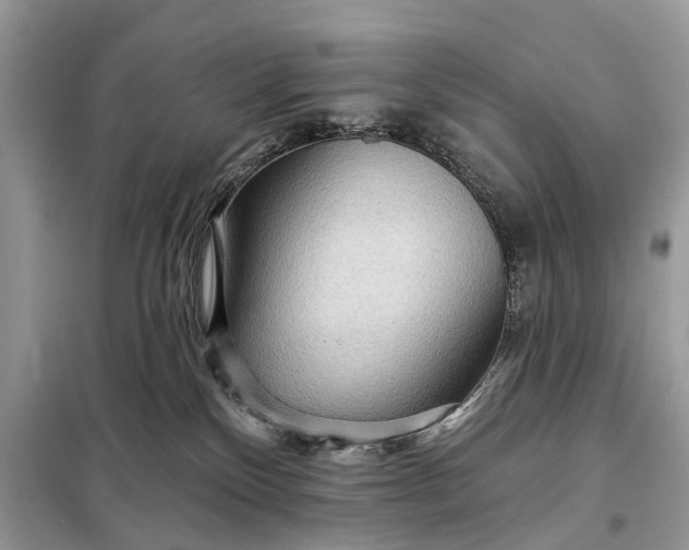 X0000098200136200805081120