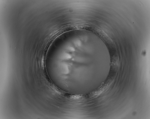 X0000098200139200805081120