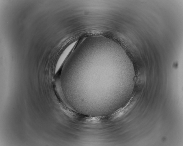 X0000098200140200805081120