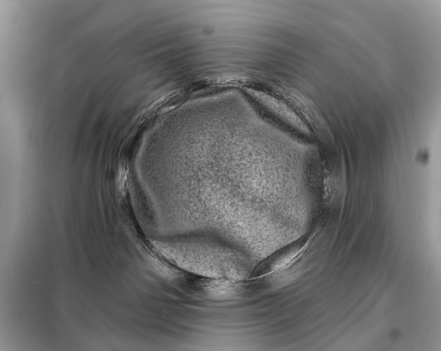 X0000098200142200805081120