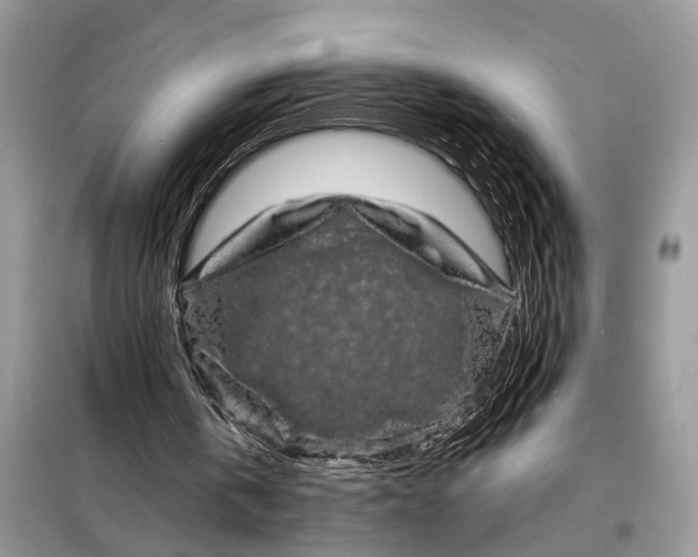 X0000098200146200805081119