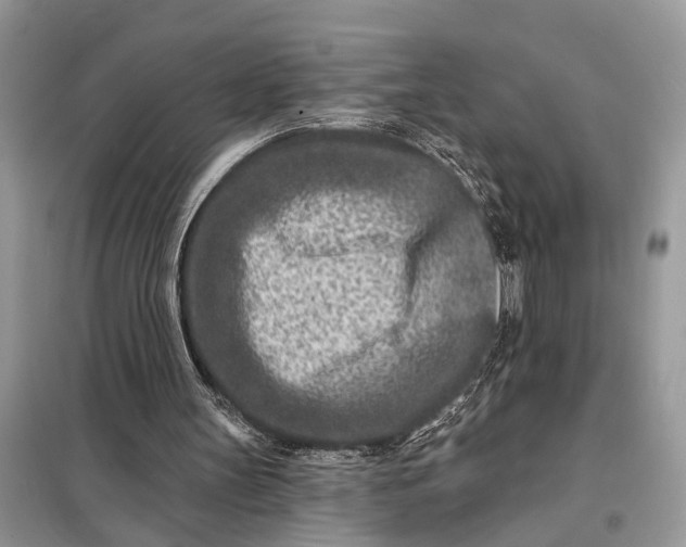 X0000098200147200805081119