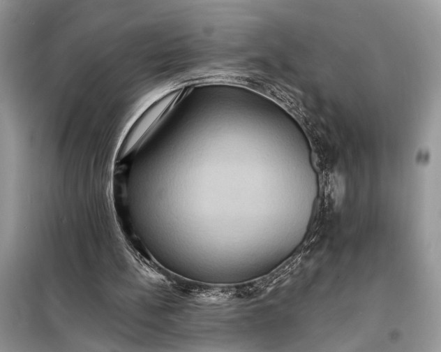 X0000098200148200805081119