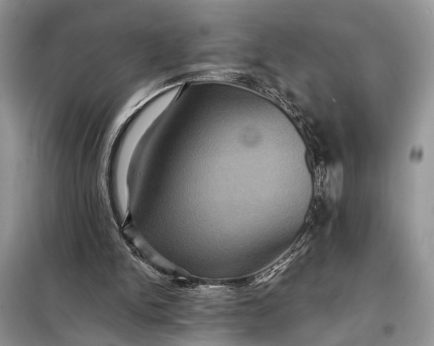 X0000098200150200805081119