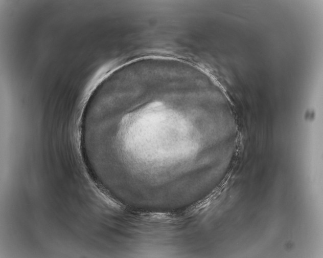 X0000098200151200805081119