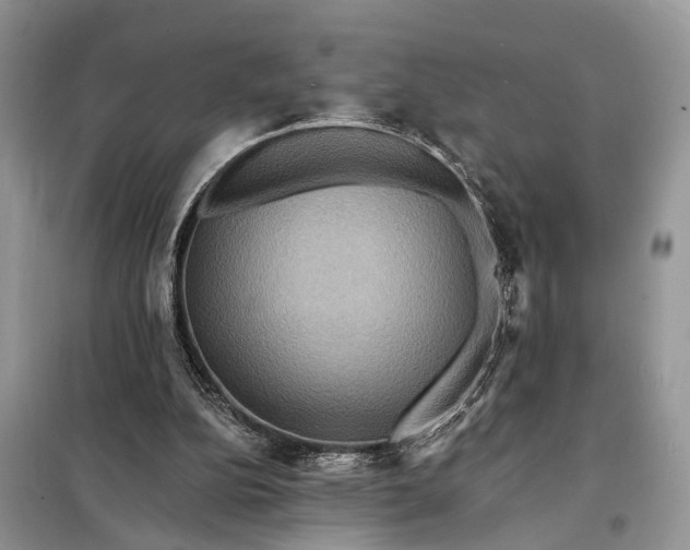 X0000098200152200805081119