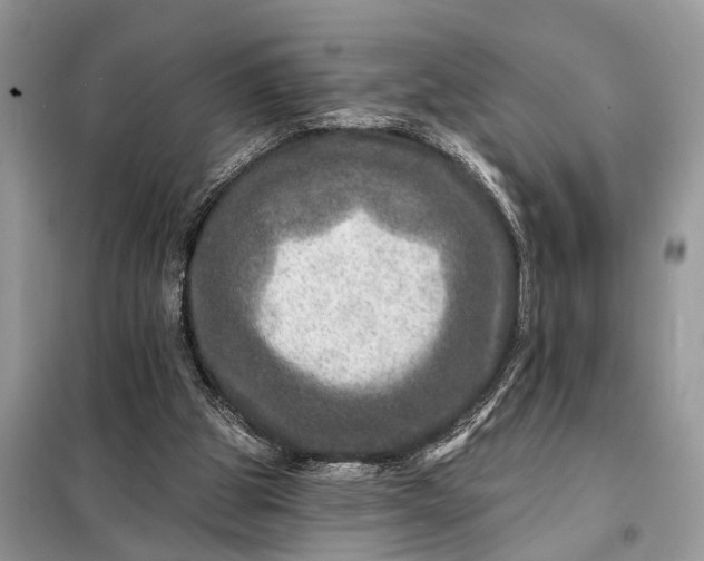 X0000098200153200805081119