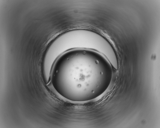 X0000098200154200805081119