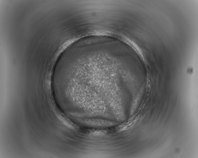 X0000098200155200805081119