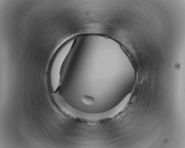 X0000098200156200805081119