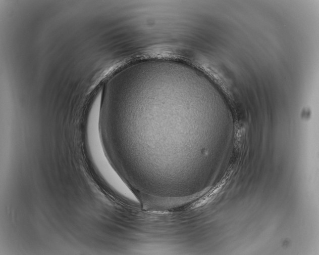 X0000098200158200805081119