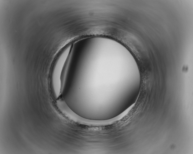 X0000098200160200805081119