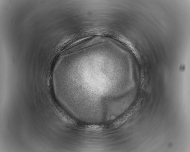 X0000098200161200805081119