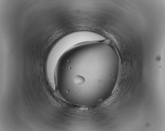 X0000098200162200805081119