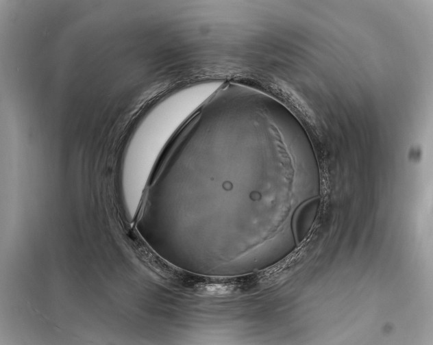 X0000098200163200805081119