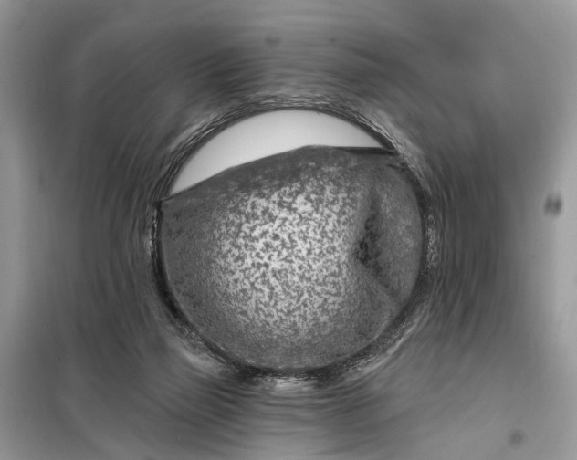 X0000098200165200805081119