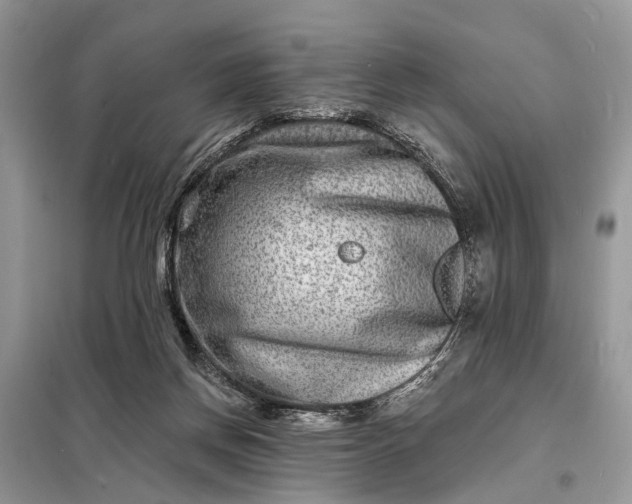 X0000098200166200805081119