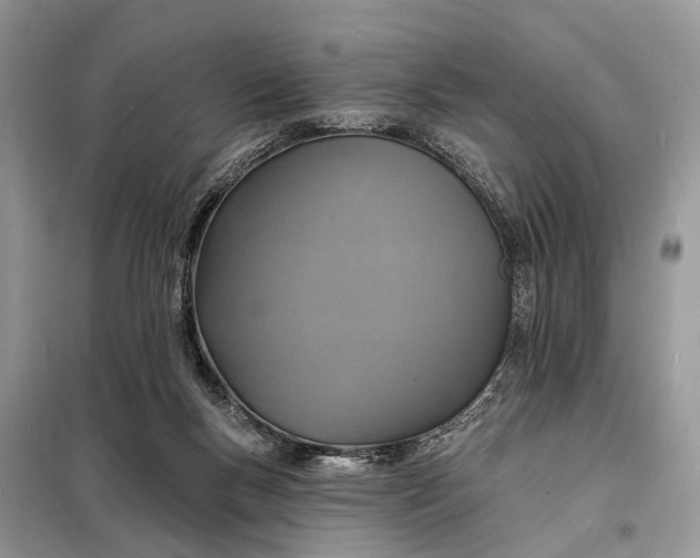X0000098200167200805081119