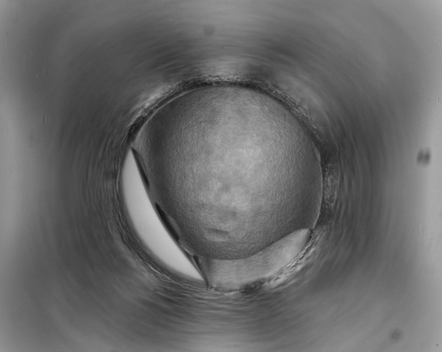 X0000098200168200805081119