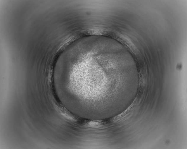 X0000098200171200805081119