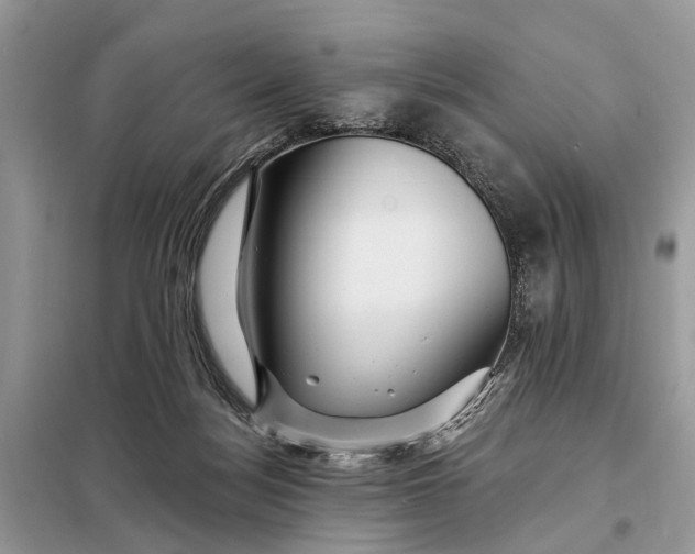 X0000098200172200805081119